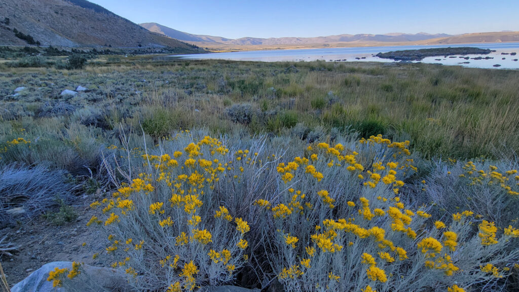 Mono Lake