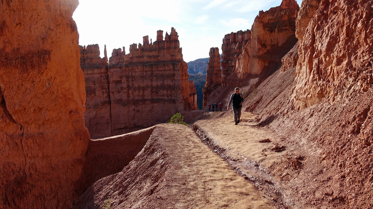 Bryce National Park